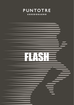 flash - Puntotre