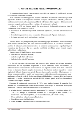 6. MISURE PREVISTE PER IL MONITORAGGIO