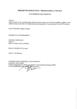 Il testo del progetto