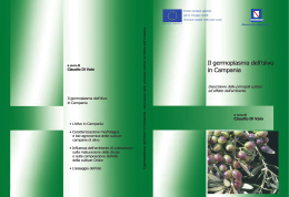 olivo I parte II bozza:Layout 1 - Regione Campania Assessorato