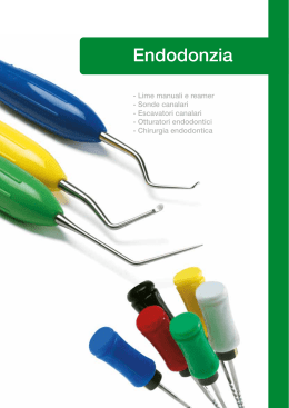 Catalogo LM Instruments – Endodonzia