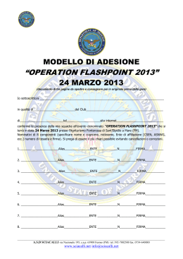 “OPERATION FLASHPOINT 2013”