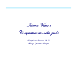 Iistema Visivo e Comportamento nella guida