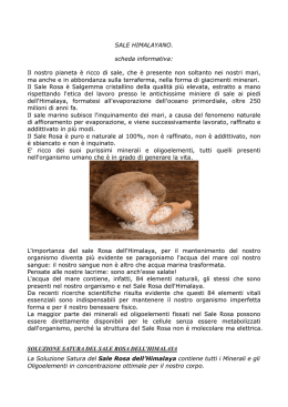 scheda_sale_himalayano _1