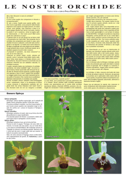 Le nostre orchidee in formato PDF