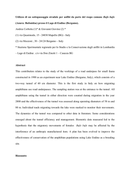 IV Congresso Nazionale SHI. Ercolano, 2002