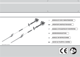 scarica pdf