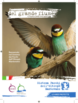 Brochure: Sistema Parchi dell`Oltrepò Mantovano (ita)