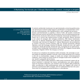 Il Marketing Territoriale per l`Oltrep&ograve; Mantovano: contesti, strategie e