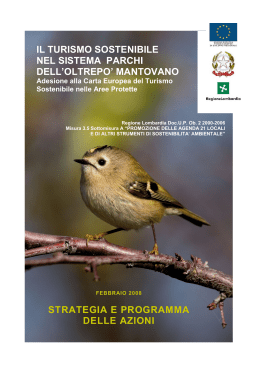 Strategia e il Piano d`Azione