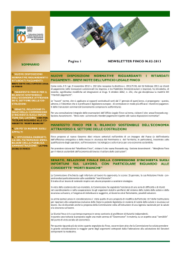 newsletter finco n.02-2013