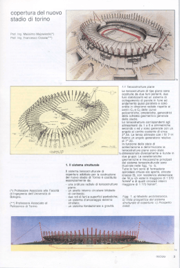 &ldquo;Copertura del nuovo stadio di Torino&rdquo;, Acciaio
