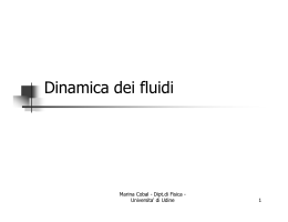 Dinamica dei fluidi - Universita` di Udine