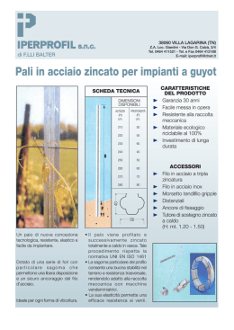 Pali in acciaio zincato per impianti a guyot