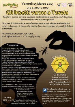 Volantino - Provincia di Padova