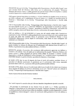 Testo della delibera n. Del 517