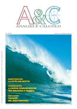 crowdsourcing - Analisi e Calcolo