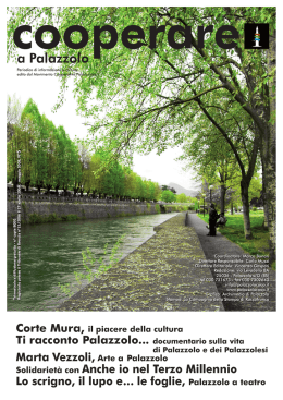 Cooperare a Palazzolo n&deg;5, maggio 2008