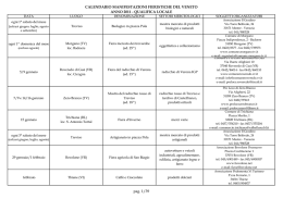 Veneto Fiere Locali - VAS FVG Alto Livenza