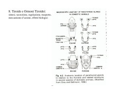 8. Tiroide e Ormoni Tiroidei: