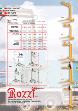 FORCA PORTA PALLET PALLET-FORK LÈVE