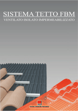 SISTEMA TETTO FBM