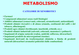 Metabolismo e QSAR