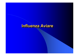 INFLUENZA AVIARE_stampa - E