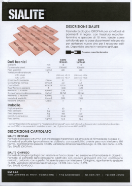 DESCRIZIONE SIALITE