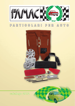 P ARTICOLARI PER AUTO TICOLARI PER AUTO