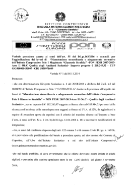 VERBALE N 1 PON FESR 2007-13