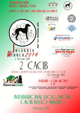 1 Novembre 2014 - Club Italiano del Beagle, beagle