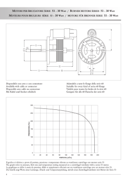 MOTORI PER BRUCIATORE S&Eacute;RIE 53 &mdash; 30 Watt / BURNER