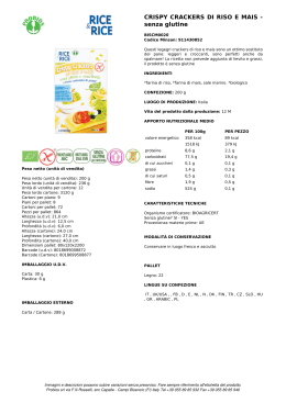 BSG CRACKERS RISO E MAIS GR.200