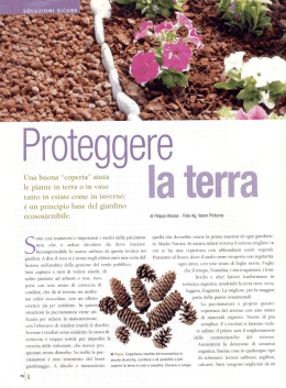 scarica PDF - Vivaio Millefoglie