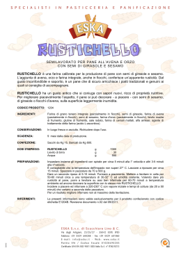 Rustichello rev.02 (ricetta per croissant salati)