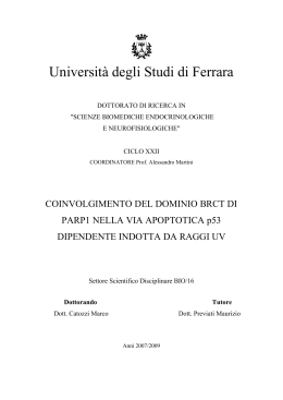 7. bibliografia - Università degli Studi di Ferrara