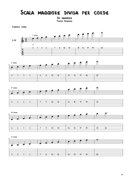 SCALA MAGGIORE DIVISA PER CORDE