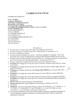 curriculum vitae