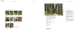 Dieci regole vitali per i lavori forestali