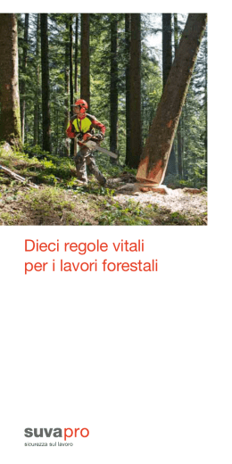 Dieci regole vitali per i lavori forestali