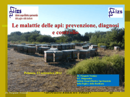 Sulle api