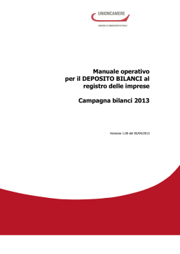 Manuale bilanci 2013