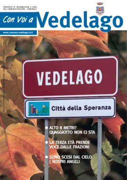 Dicembre 2006 - Comune di Vedelago (TV)