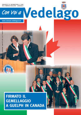 Novembre 2007 - Comune di Vedelago (TV)