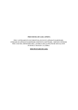 Disciplinare di gara - Ministero del Lavoro e delle Politiche Sociali