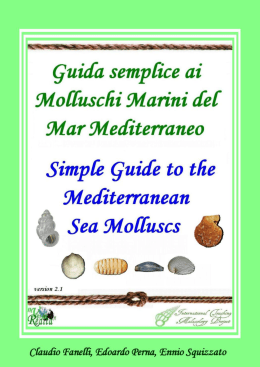 Guida Semplice ai Molluschi del Mar Mediterraneo