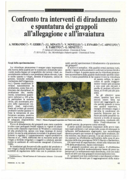 Confronto tra interventi di diradamento e spuntatura dei