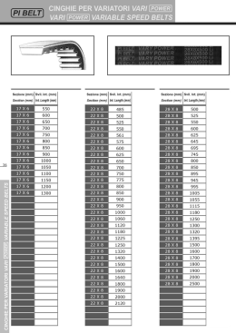 Cinghie per Variatori