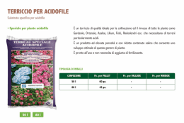 TERRICCIO PER ACIDOFILE